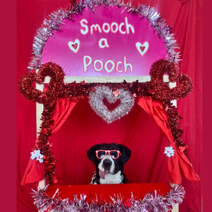 Hello my name is Eloise