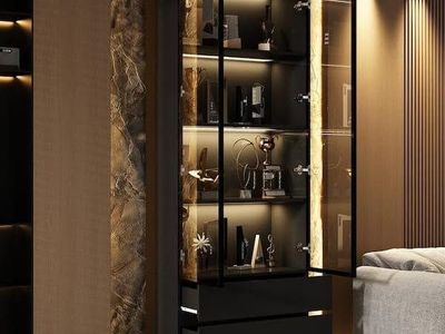 Modern LED Display Cabinet with Glass Doors – $200