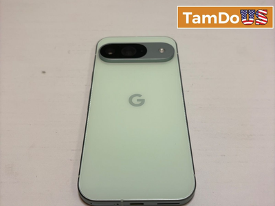 Google Pixel 9 | 128GB | Wintergreen | Unlocked