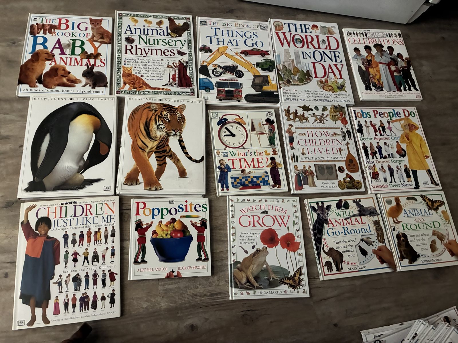 Lot of 15 collectible DK Eyewitness Children's Hardcover Picture & Educational Books, DK Publishing, vintage