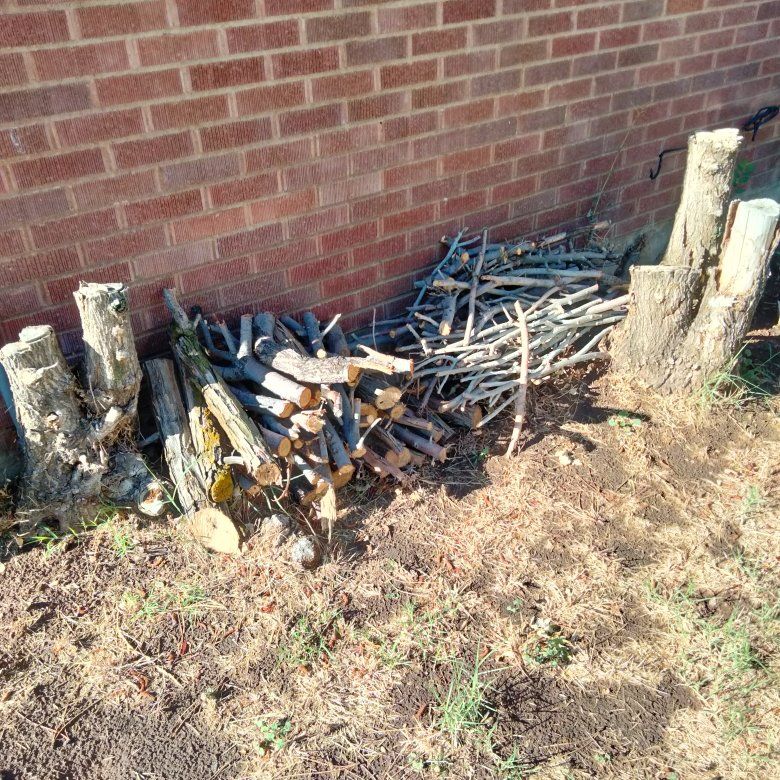 Free wood