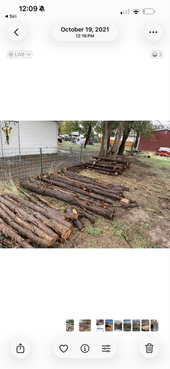 Cedar Fencing material