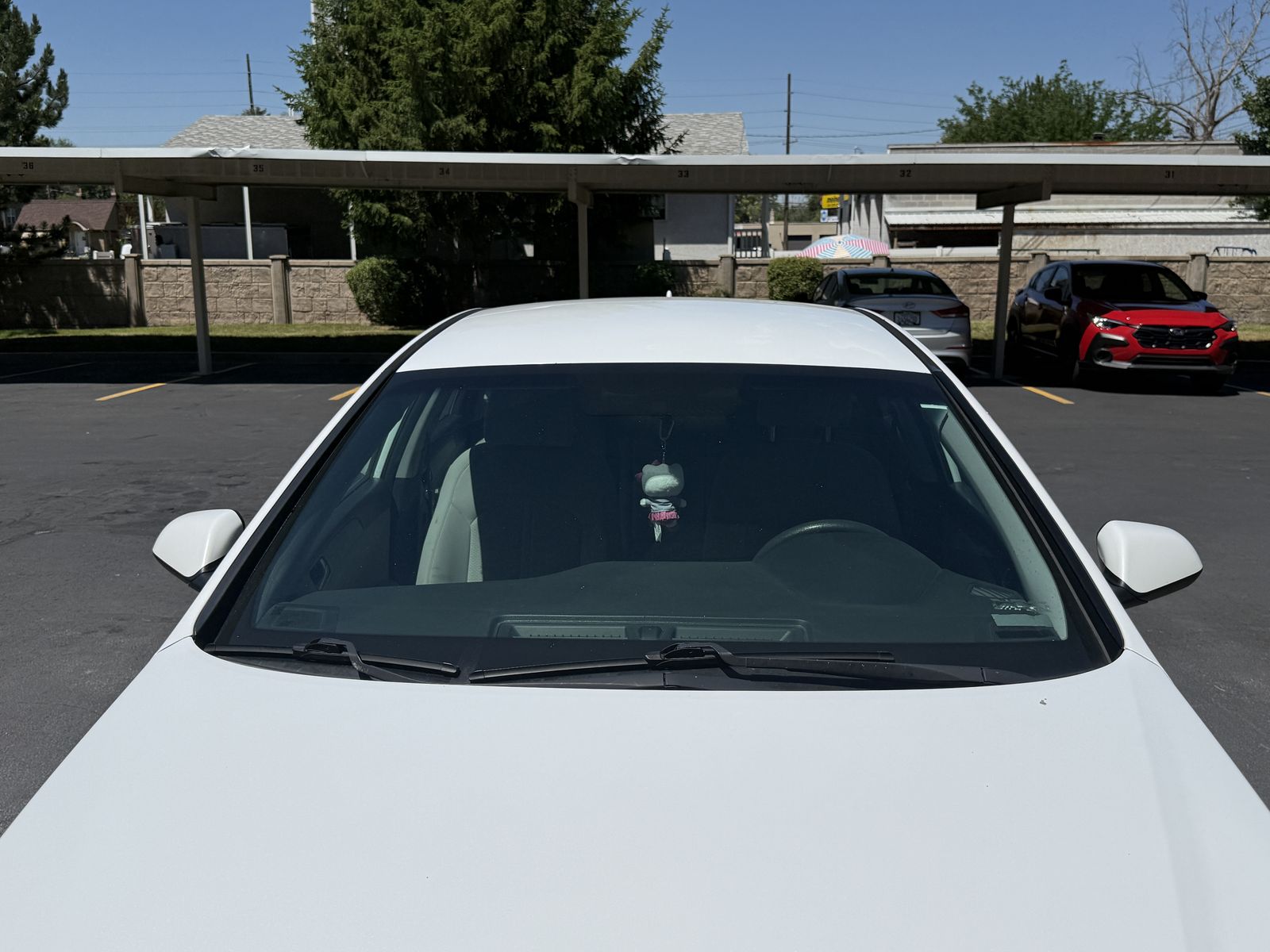 Main image 8
