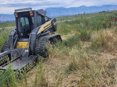 New Holland Skid loader s l185
