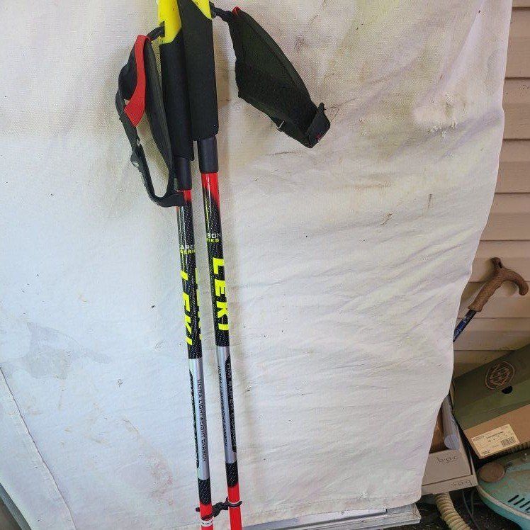 Leki walking sticks