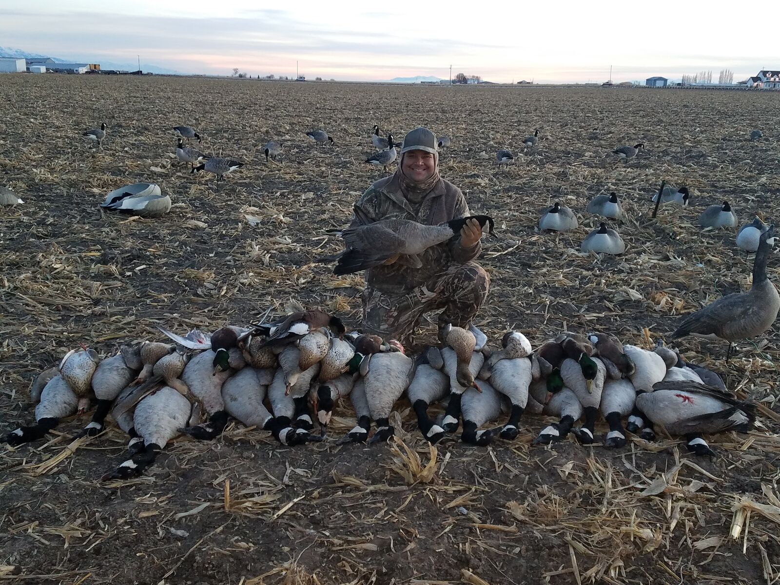 3 dozen Hardcore sleeper shells