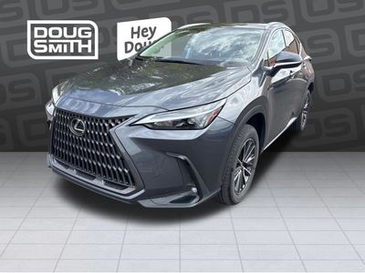 2022 Lexus NX 350 Base