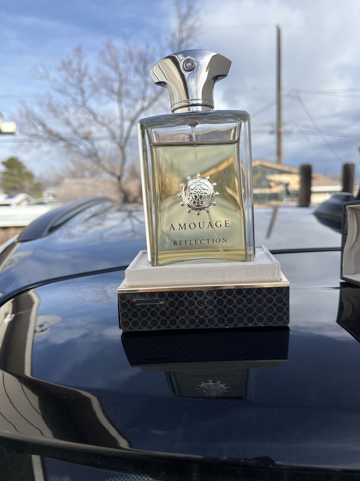 Amouage Reflection