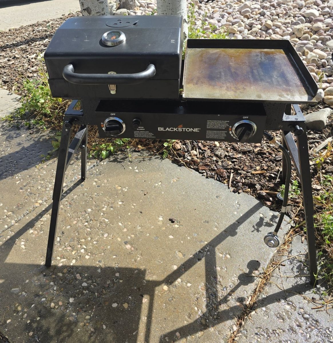 Blackstone 2-Burner Griddle  Portable Outdoor Cooking Station