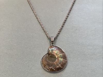 Silver Necklace Shell Pendant