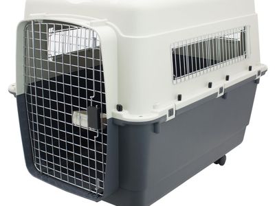 SportPet 1-Door Plastic Dog Kennel, XXXL, 38 in. x 32 in. x 4 ft.