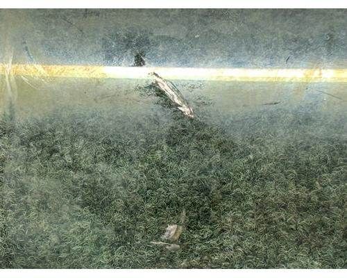 Main image 4