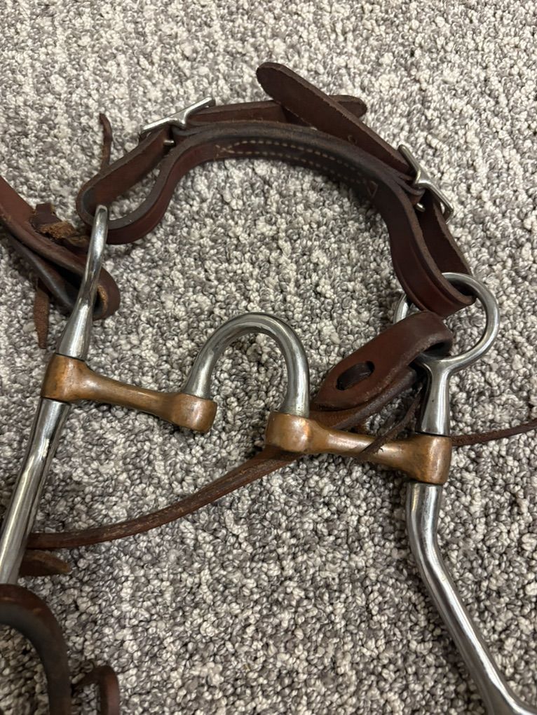 Vintage Western Horse Bridle