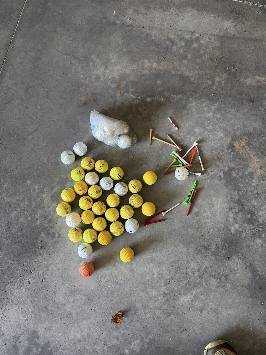 Assorted Used Golf Balls and Tees