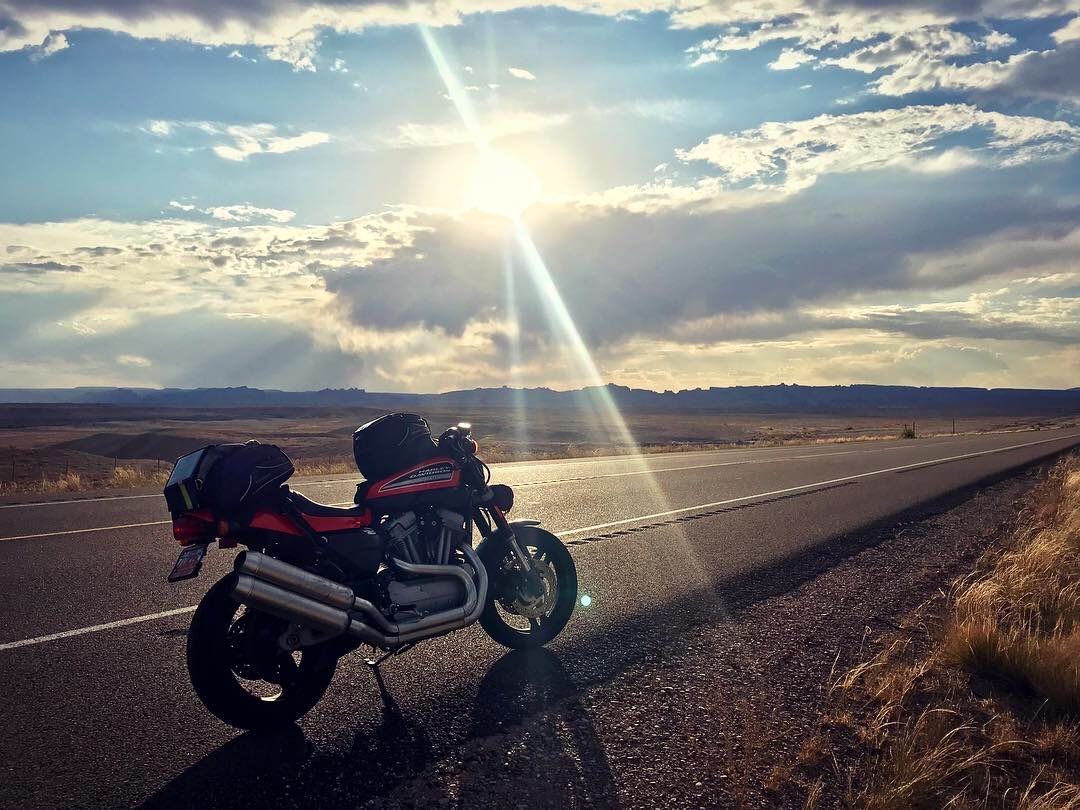 2009 Harley-Davidson Sportster XR1200