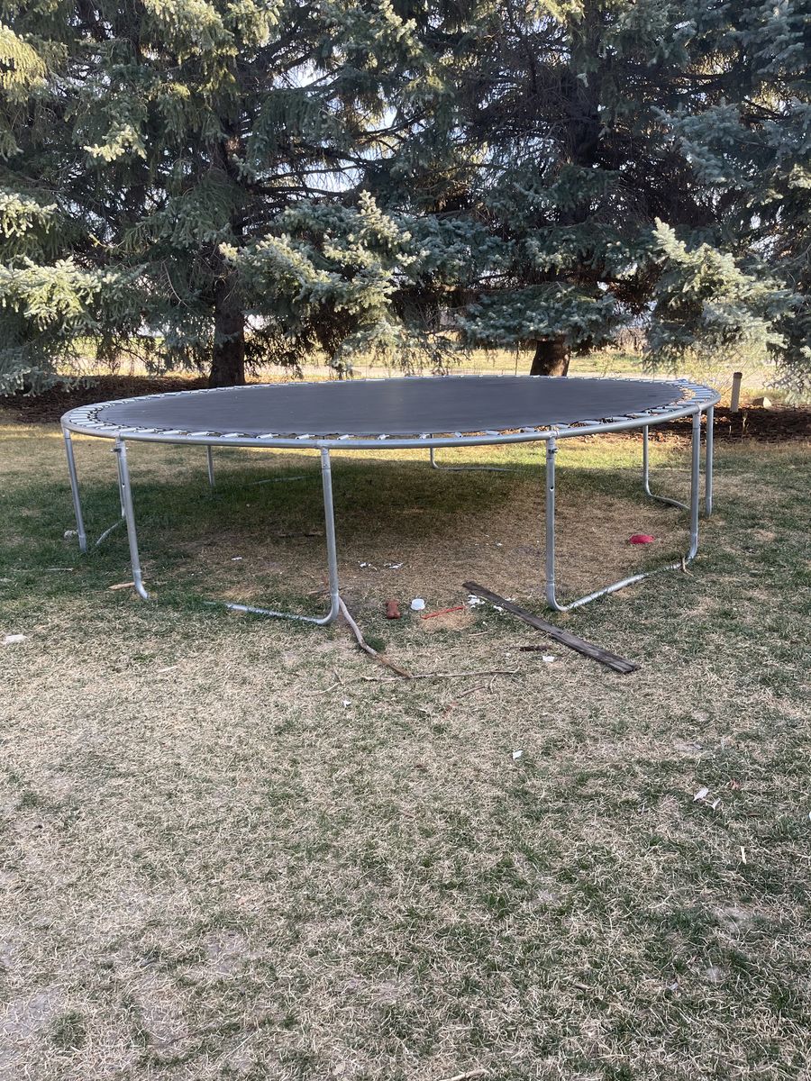 Trampoline