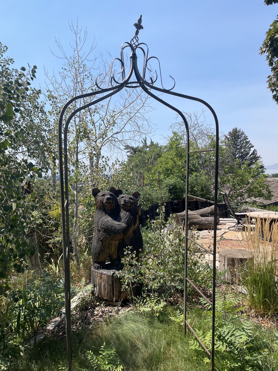 Heavy Duty Steel Garden Arch Arbor (9' H x 44" W)