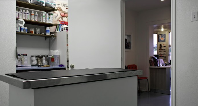 Main image 7