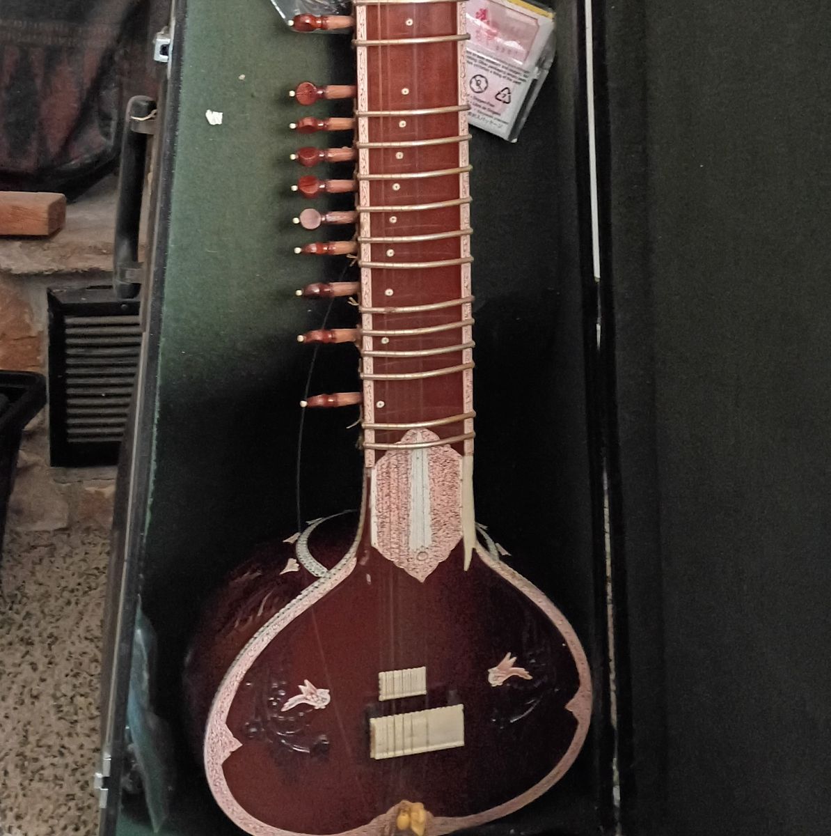 Sitar with carrying case