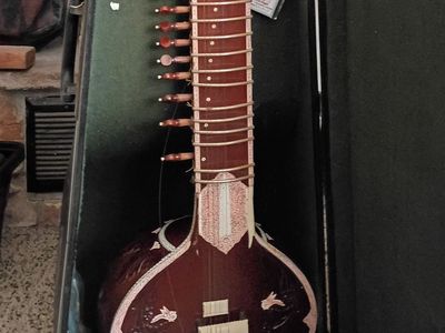 Sitar with carrying case