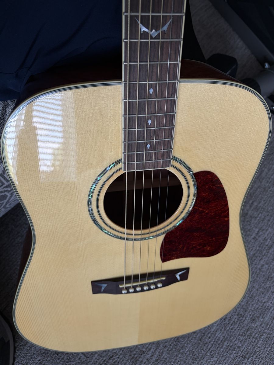 Ibanez Artwood, Abalone Detail, Dreadnought Body, Acoustic Guitar