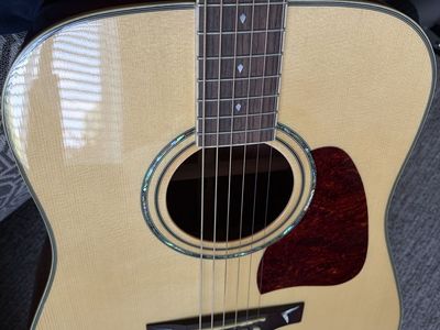 Ibanez Artwood, Abalone Detail, Dreadnought Body, Acoustic Guitar