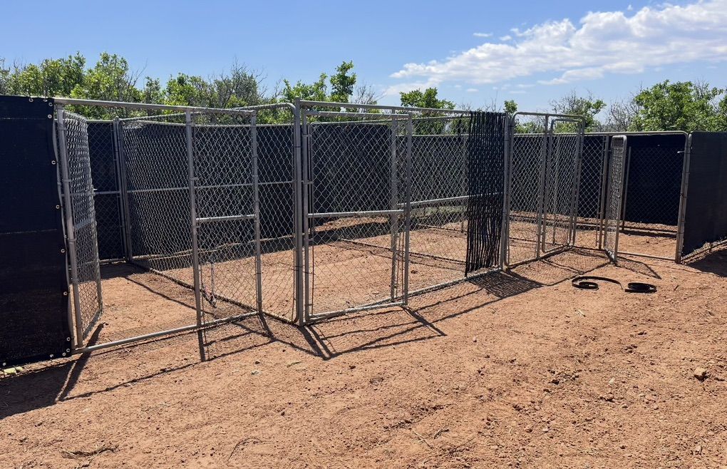 4 Run Kennel Setup For dogs