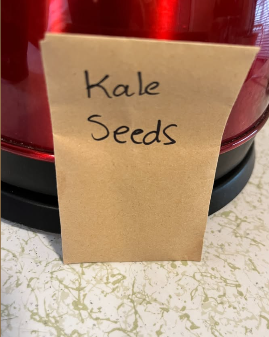 Kale Seeds (heirloom)