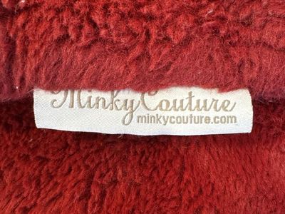 Older Red Minky Blanket