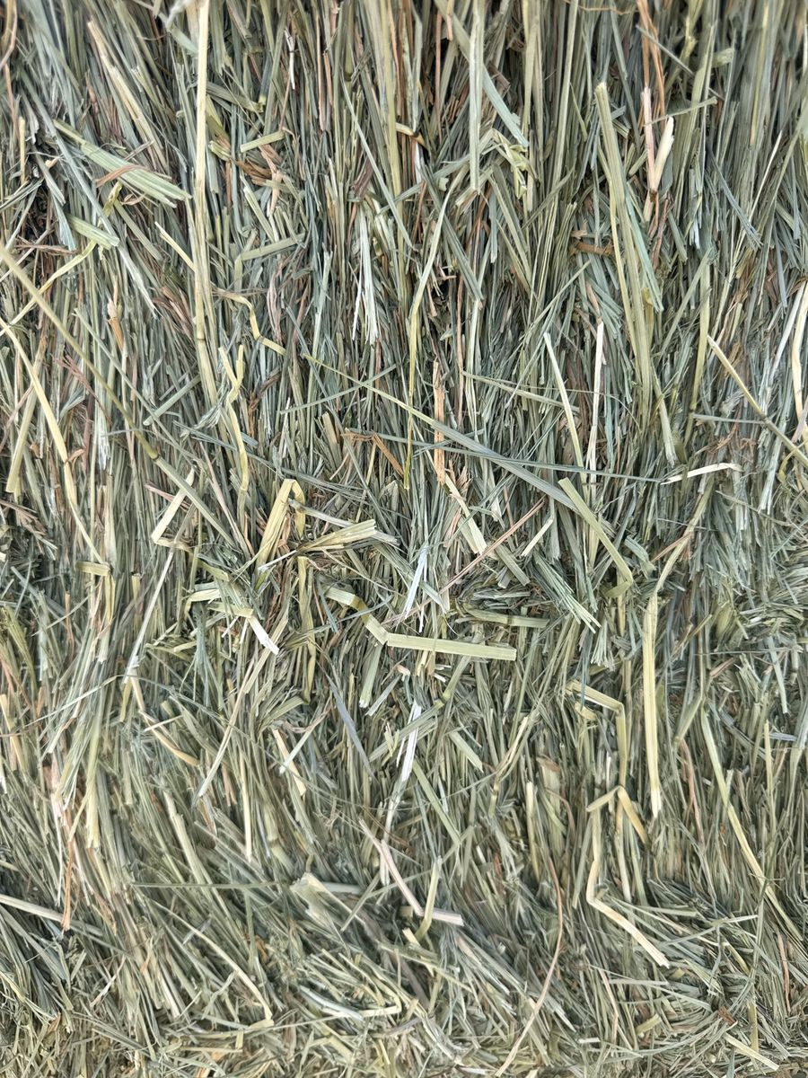 3x4 Grass Hay