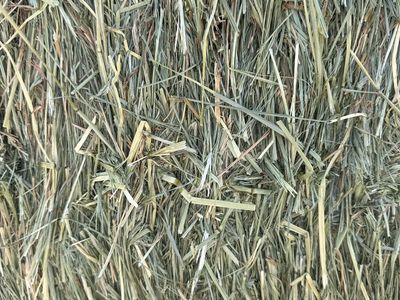 3x4 Grass Hay