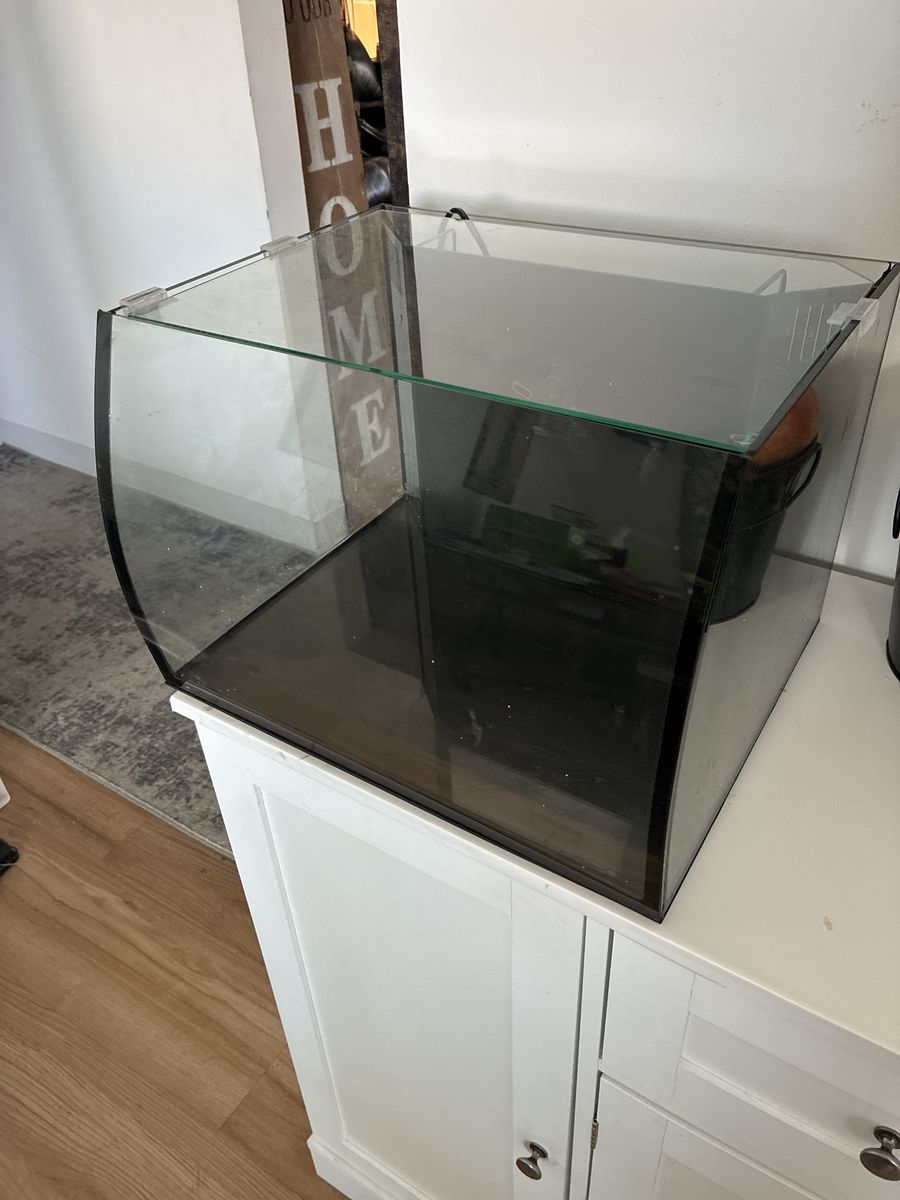 Curved Glass Aquarium Tank with Lid