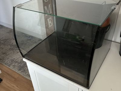 Curved Glass Aquarium Tank with Lid