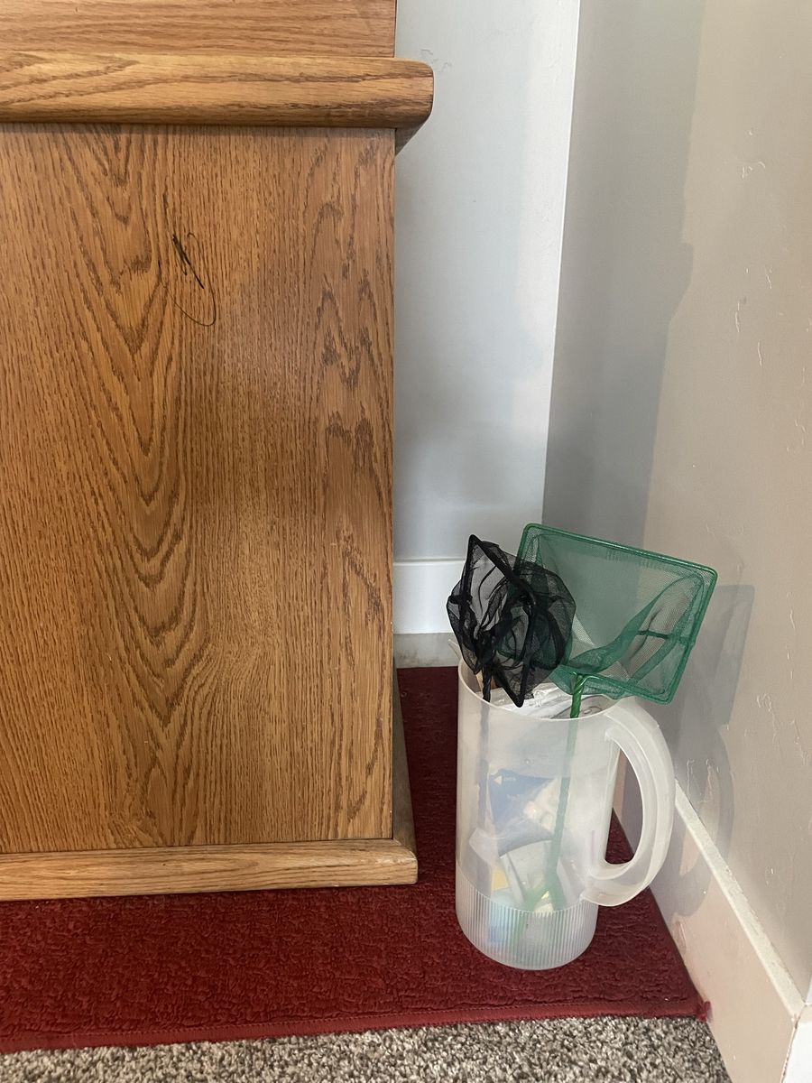 Main image 6
