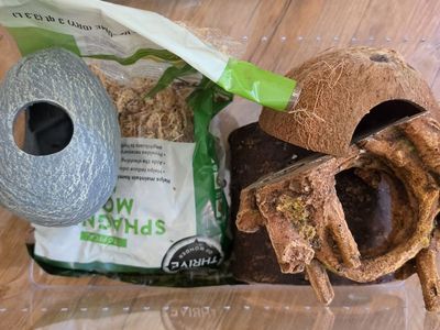Terrarium with Sphagnum Moss & Decor Bundle - Hide, Log, Coconut House & substrate.