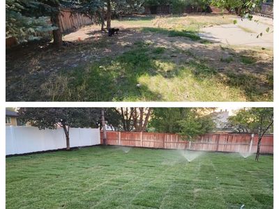 Ledezma Landscaping | Lawn Care | Grading | Tree Removal | Sod Installation