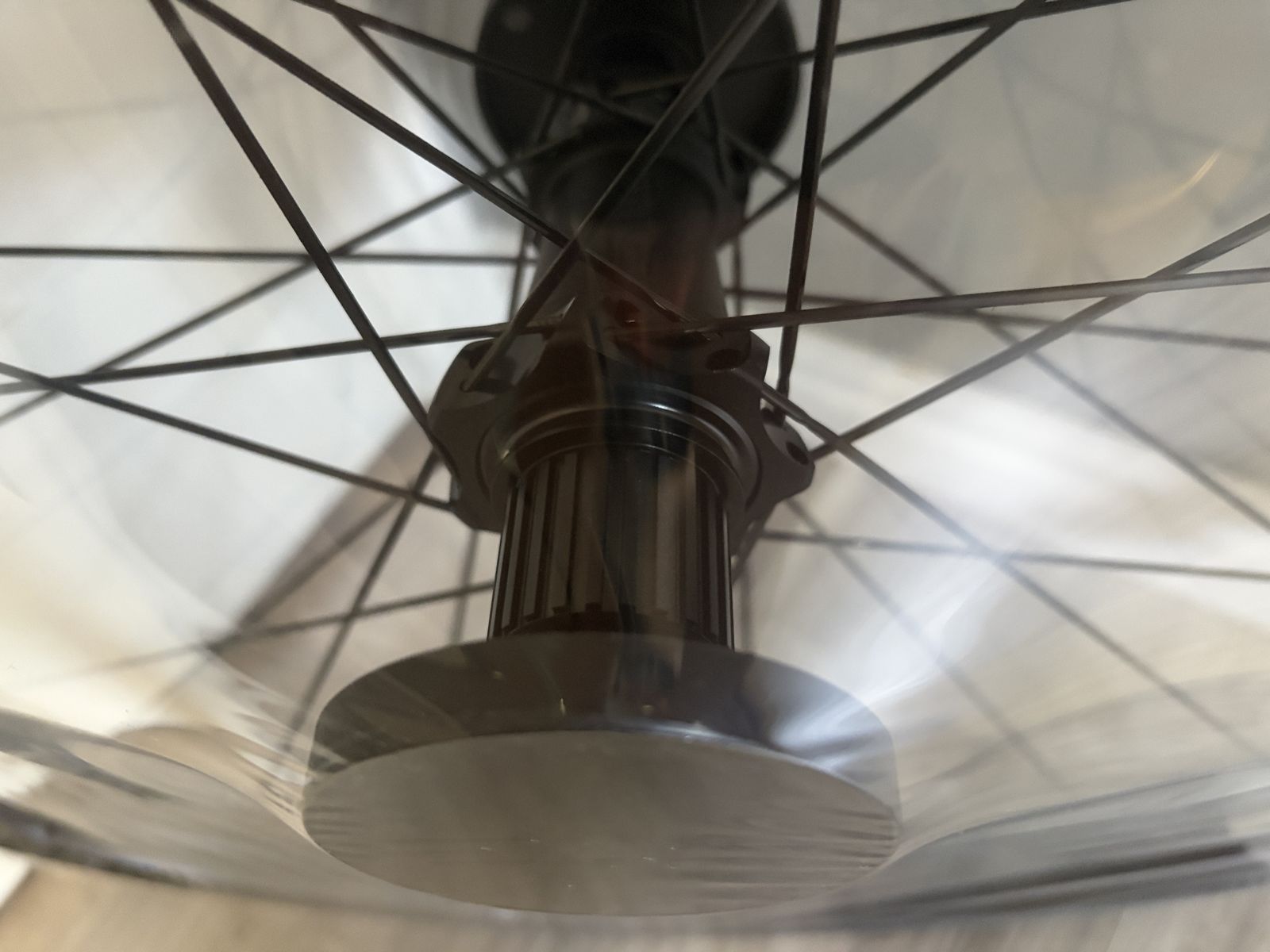 Main image 4