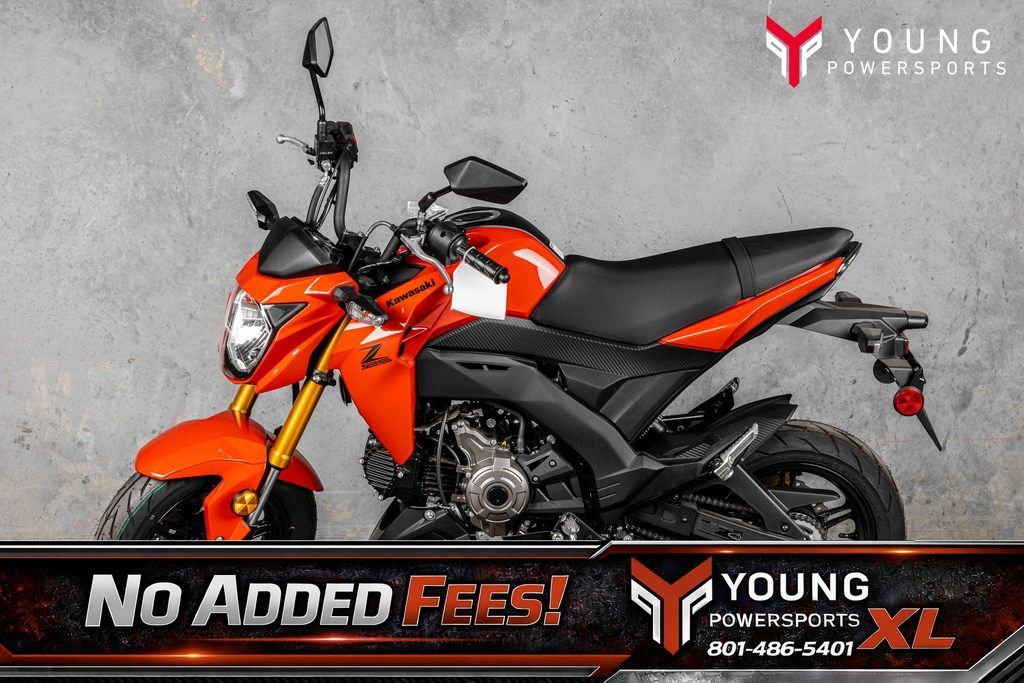 2025 Kawasaki Z125 PRO