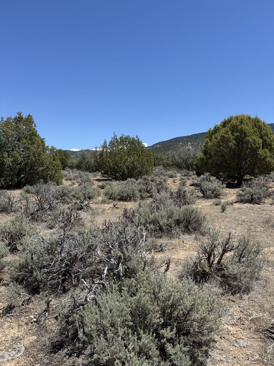 Main image 6