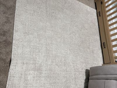 Light Gray Textured Area Rug
