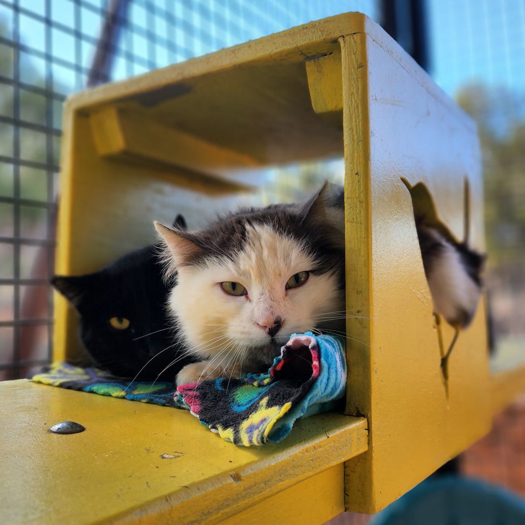 Hello my name is Raeburn