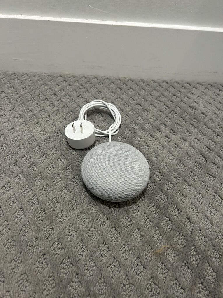 Google Nest Mini