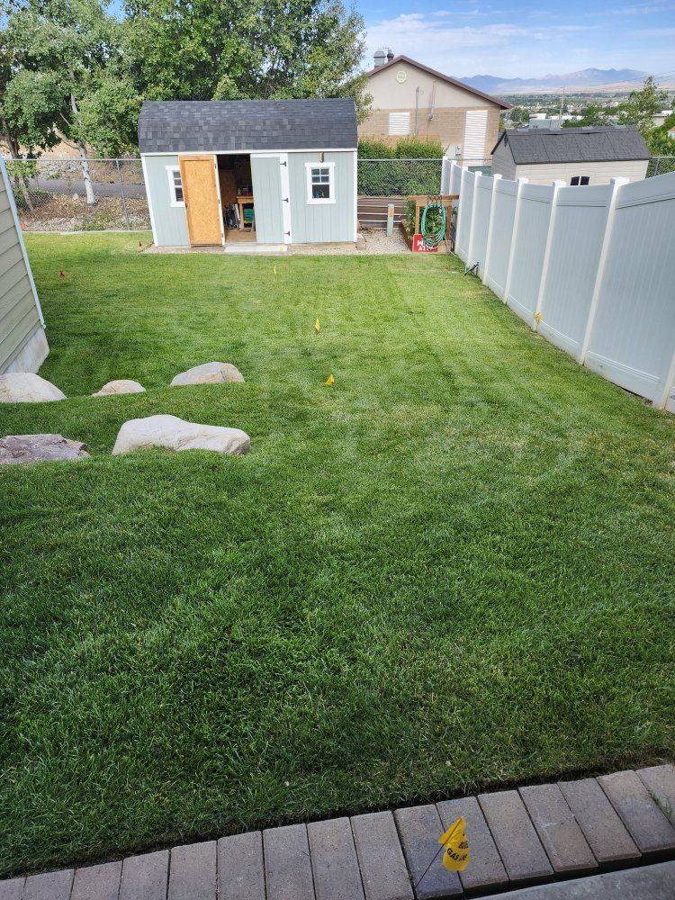 Sod/Turf/Grass - FREE