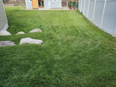 Sod/Turf/Grass - FREE