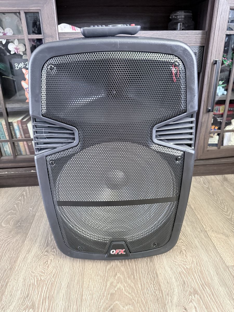 QFX portable speaker