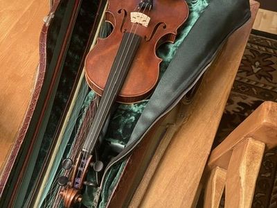 For the serious Violinist.