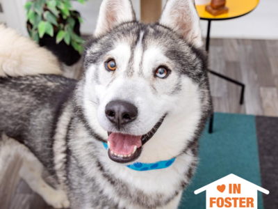 Hello my name is Cecil