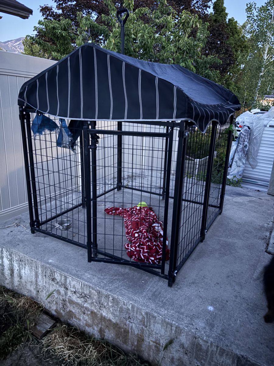 Outside dog cage