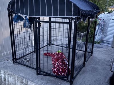 Outside dog cage