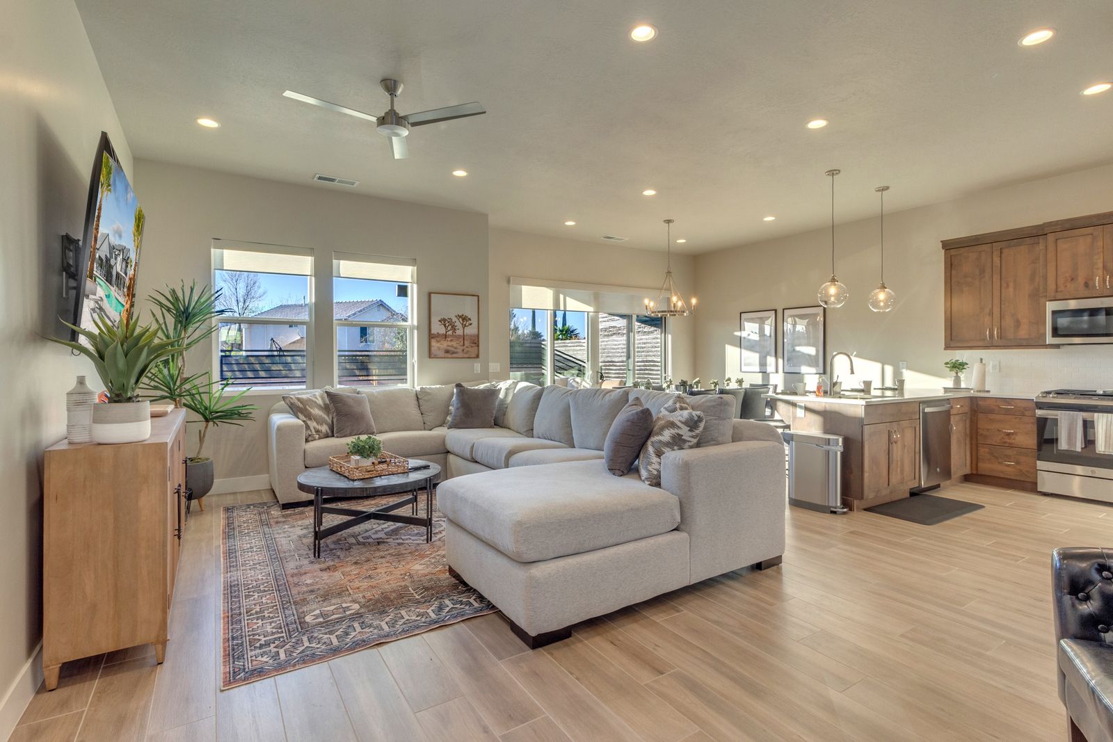 Ocotillo Springs 40